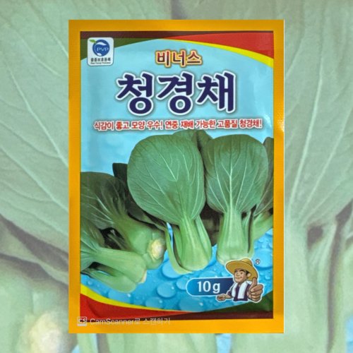 비너스 청경채 씨앗 10g 10+1봉 이벤트 26년포장 연중재배 고품질 고급 청경채 종자